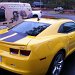 Vehicle Wrap Gallery Image